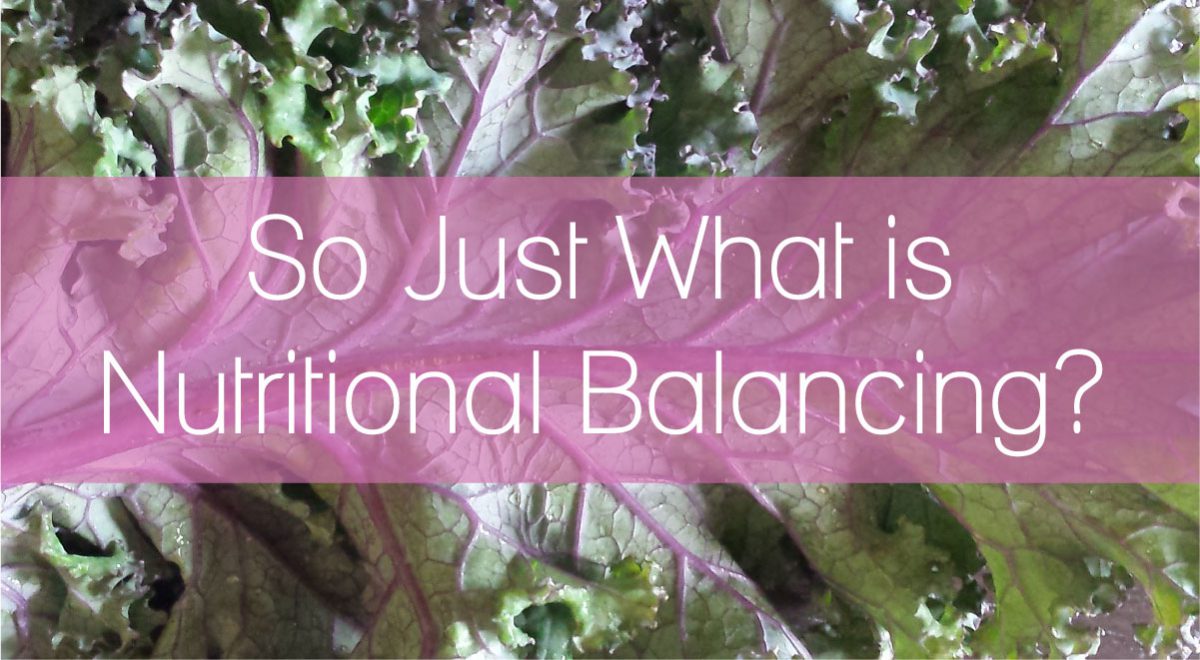 So Just What is Nutritional Balancing?